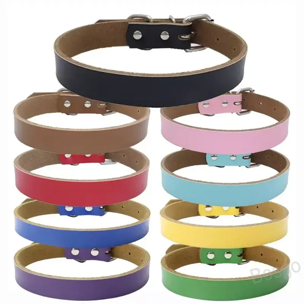 Edelstahl Haustierhundkragen Kowide Halskette Verstellbare Lederhundkragen Haustier Outdoor Supplies Accessoires 9 Farben 4 Größe
