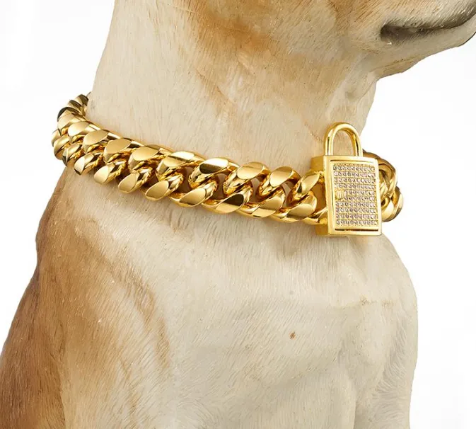 All-Match-Kette, goldfarbenes Curb Cuban Pet Link, Edelstahl, CZ-Verschluss, Hundehalsband, Großhandel für Haustier-Halsketten