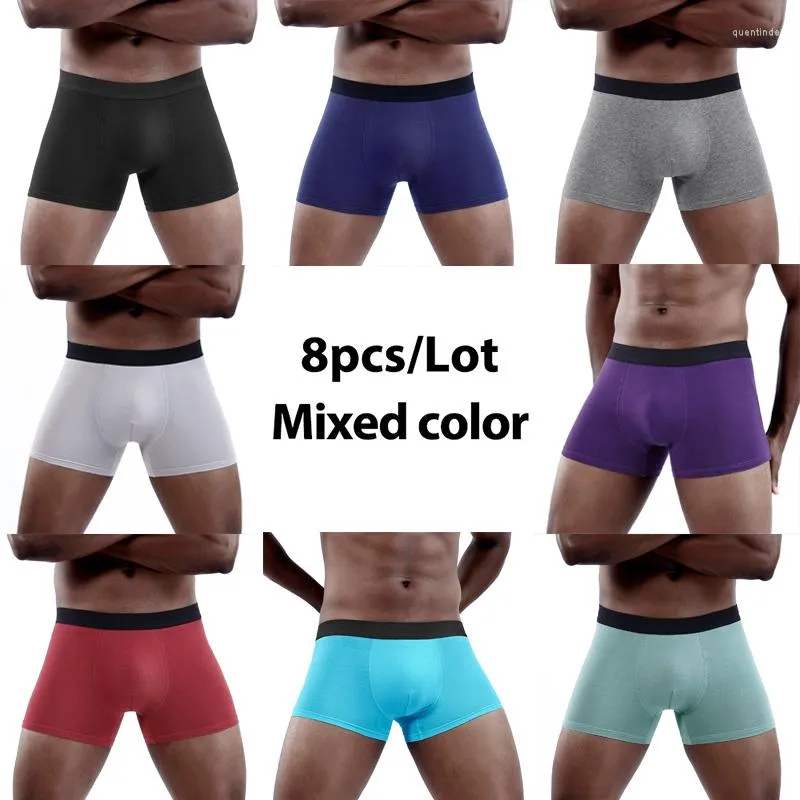 UNDUPTS 8 PCS Erkek Panties Set Sexy Man Boksörler Pamuk Çarparlar Çok Gay Gay Boksörler Erkek Aile Boksör Erkekleri Ca223m