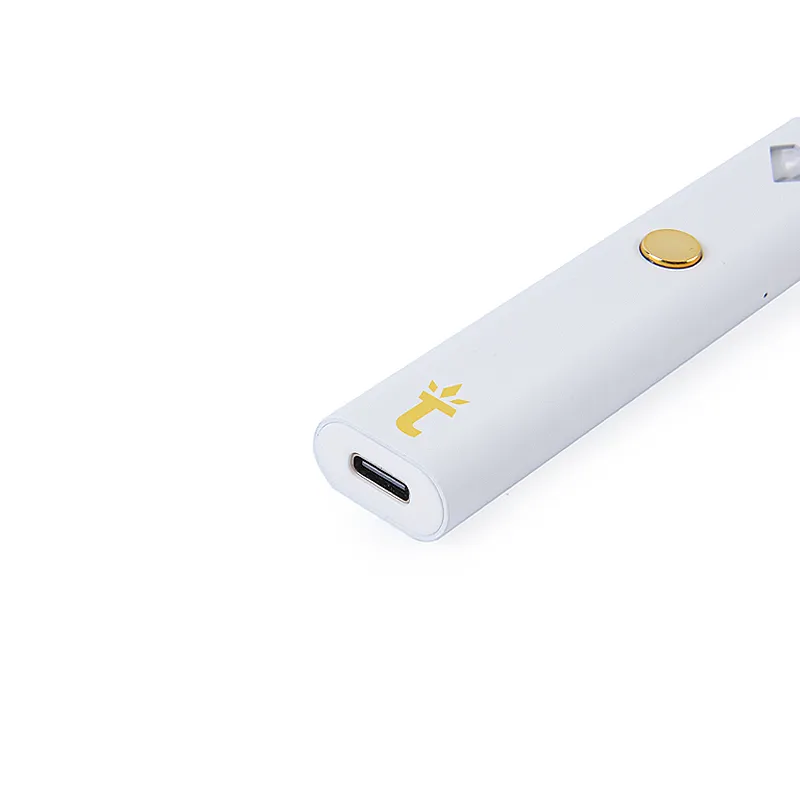 2.0ml Torch Disposable Vape Pens Rechargeable E Cigarettes 12 Flavors