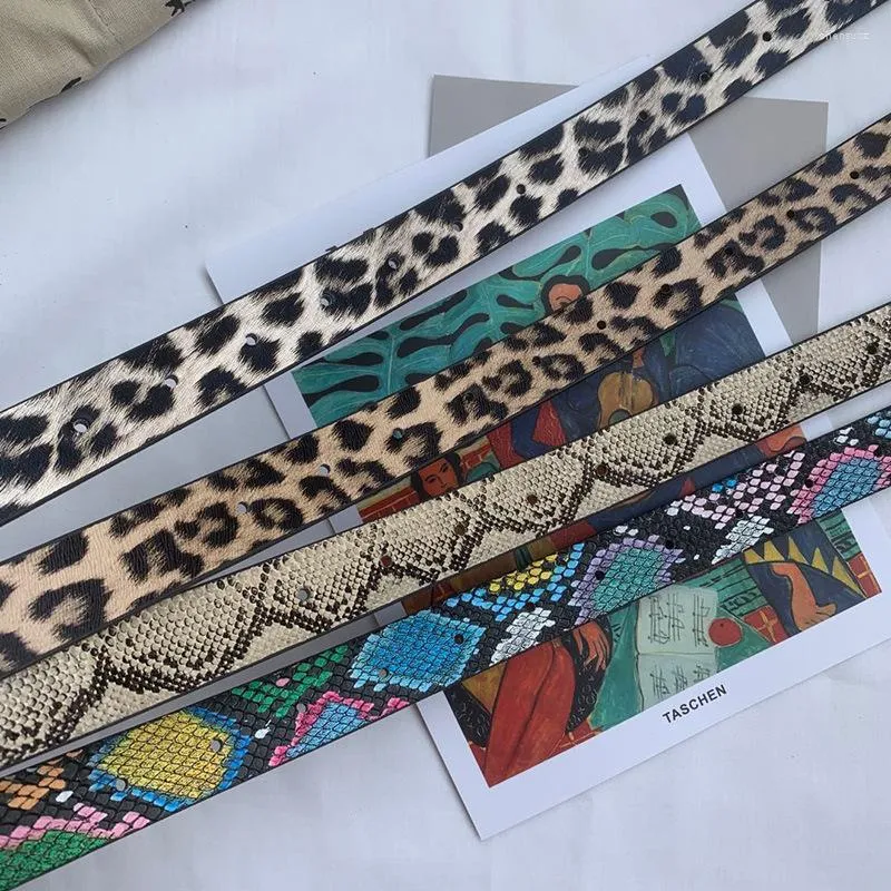 Ceintures Explosion Spot femmes polyvalent décoratif Jeans ceinture mode boucle carrée léopard rayé serpent motif mince