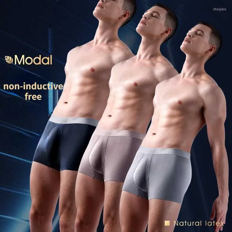  Tons 3D Modal Man Breathable Underwear with Penis Pouch Boxers  Avoid Leg Friction Sport, Fashion Gay Briefs, Plus Size Lingerie  (black,XXXL): Clothing, Shoes & Jewelry