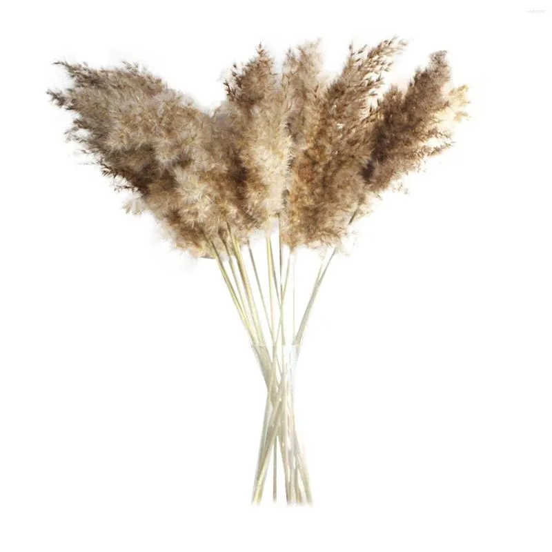 Flores decorativas 30/50 UNIDS Natural Pampas Grass Dry Bunch Brown Bouquet Boho Decoración Hogar Dormitorio Sala de estar Decoraciones navideñas