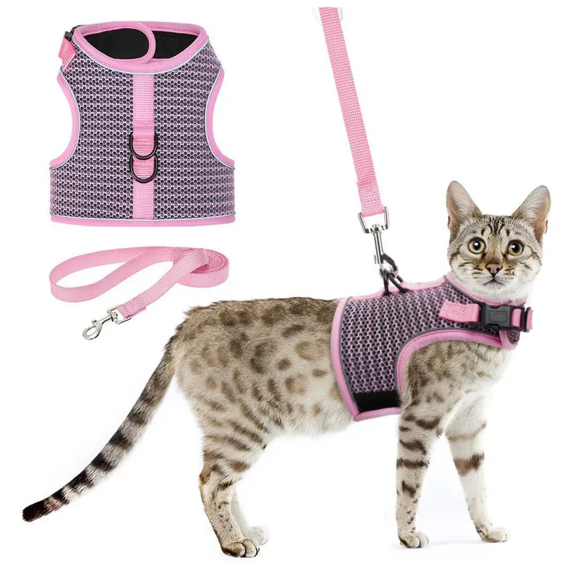 Cat Costumes Pet Cat Walking Harness Vest Leash Safe Chest Strap Padded Breathable Training Decoration Traction Rope Clothes Accessories 220908