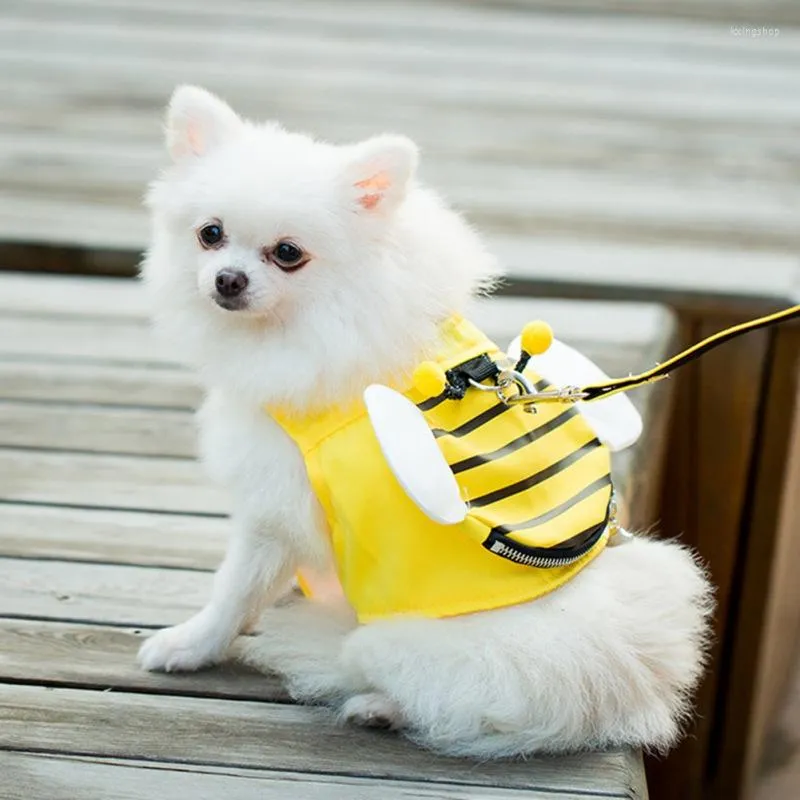 Collari per cani Pettorina per api gialle Set guinzaglio per animali domestici con ali fluff di corda Forniture per cuccioli per cavezza per gatti piccoli