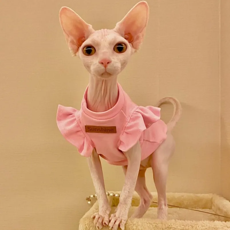 Cat Costumes Luxury Sphynx Cat Clothes Summer Dog Fancy Dress For Hairless Cats Clothing Small French Bulldog Puppy Costume Kittens Vest 220908