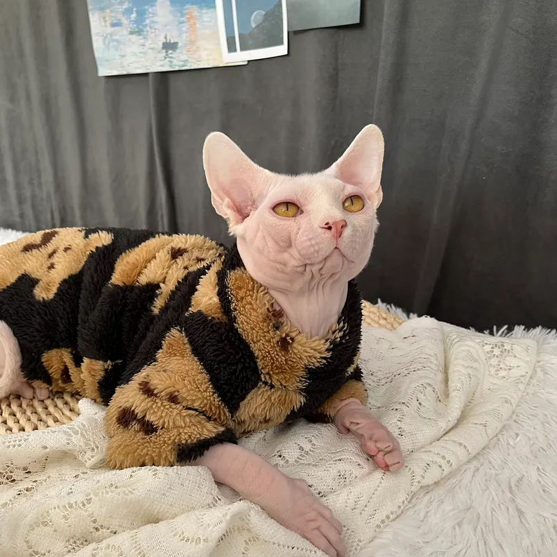 Костюмы для кошек C C осень зимний котенок теплый густой пив Devin Rex Costume Sphynx Costum