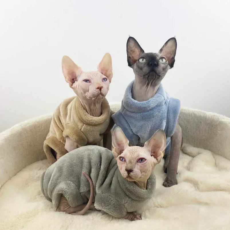 Costumi per gatti Abbigliamento per cani sfinga vestiti senza peli flanella calda in inverno a quattro zampe devon pet 220908