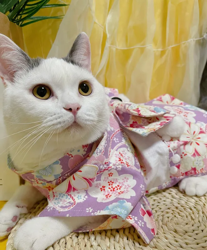 Japanese Style Printed Cotton Dress Material Pet Costume For Cats And Dogs Perfect For Spring And Autumn 220908 From Kong09 18.11 DHgate.Com