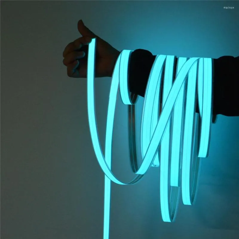 Strips El Car LED Strip Light für DIY -Anzeigen -Logo Flexible Neonlichter Glüh