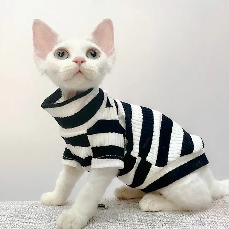 Cat prisoner outlet costume