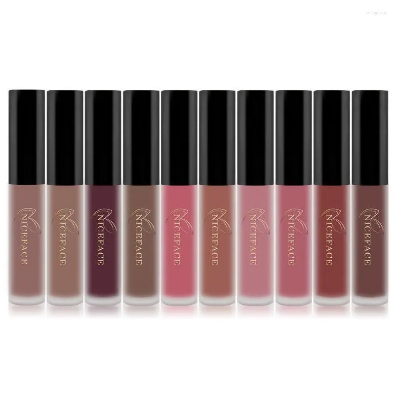 Lipgloss 10 kleuren waterdichte duurzame lippenstift matglazuur blijvende moisturizer fluwelen tint make -up cosmetica