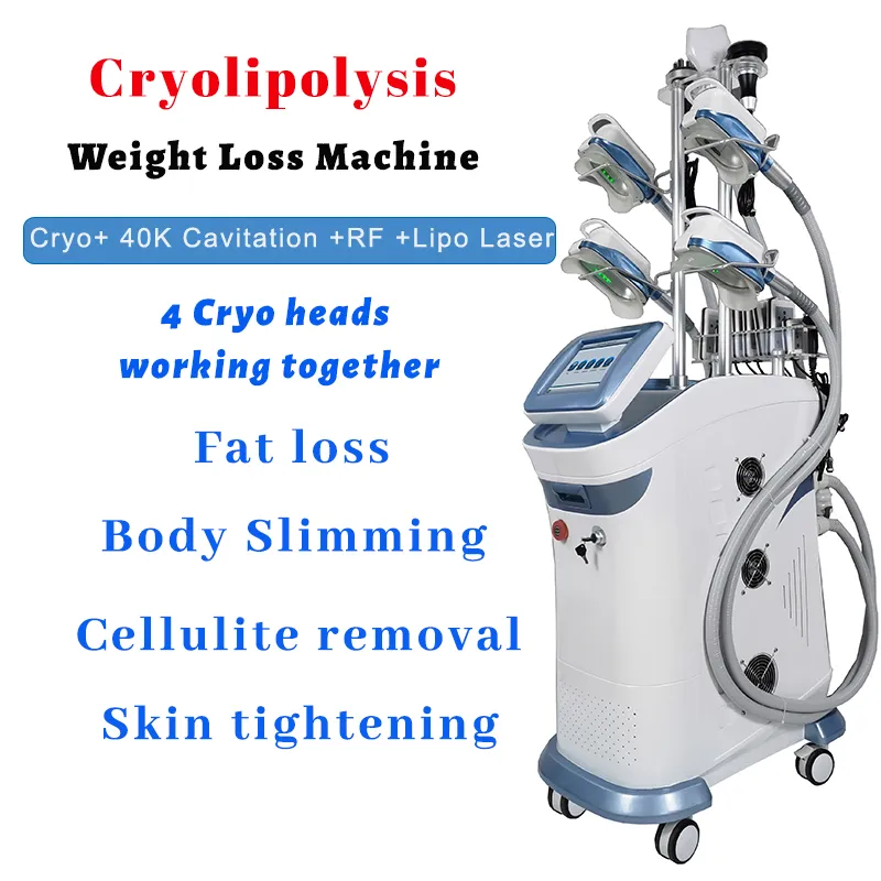 5 Cryo Heads Cryolipolyse Congélation des Graisses Minceur Machine 4 Poignée d'Aspirateur Travaillant Ensemble Bras Jambes Abdomen Fesse Réduction de la Cellulite