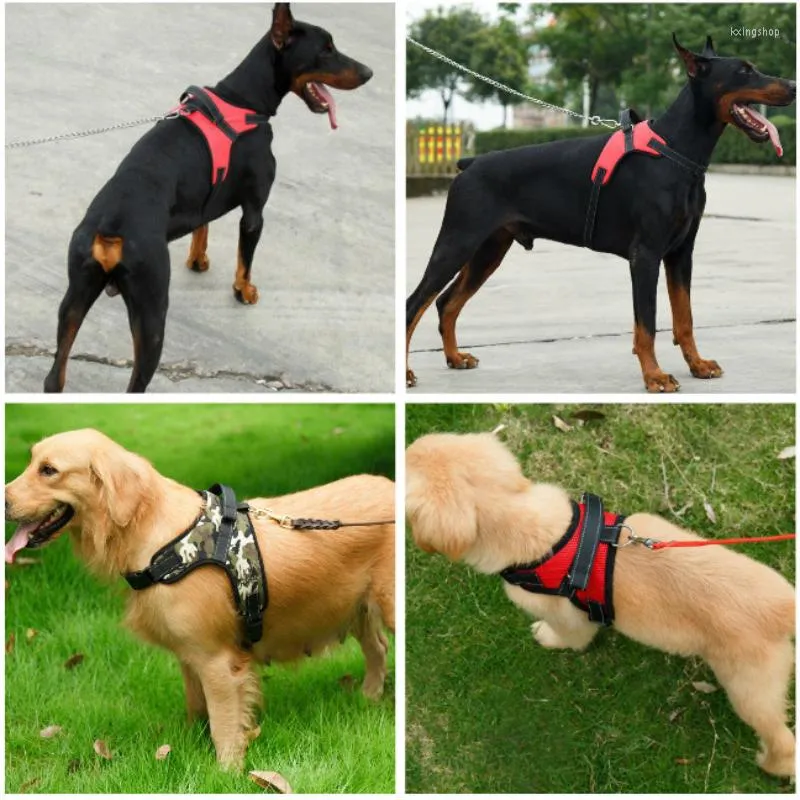 Colliers de chien solide moyen grand licou harnais réfléchissant collier LED poignée renforcée respirant maille gilet boucle laisse accessoires pour animaux de compagnie