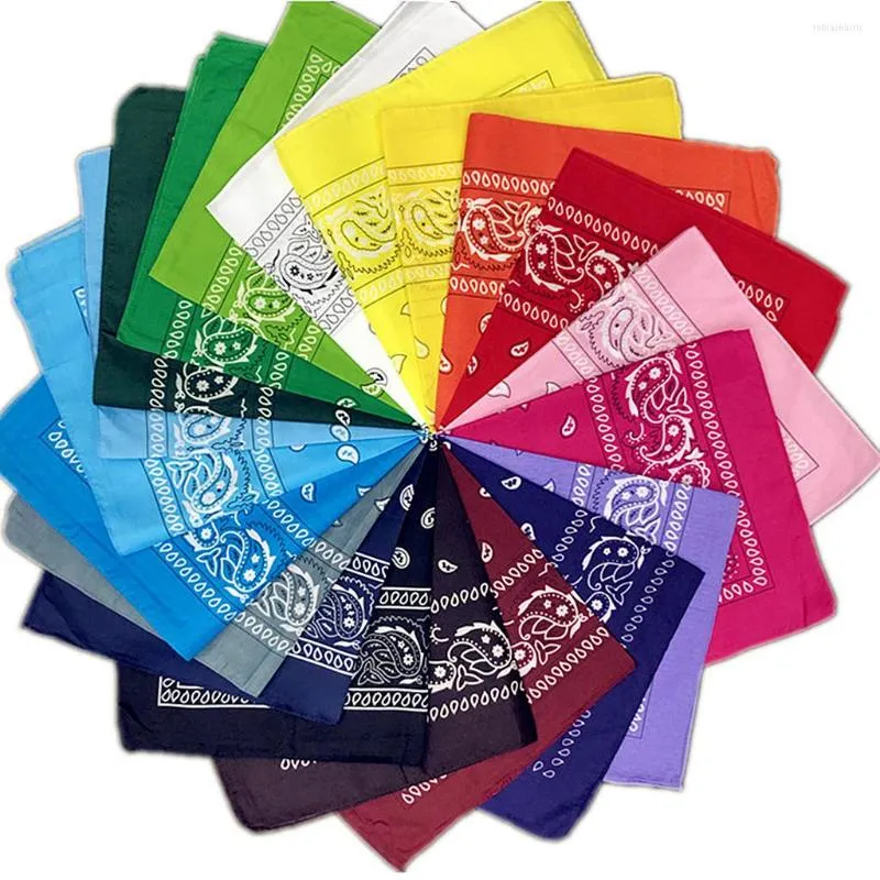 Bandanas pour femme et homme fantaisie double face imprimé cachemire