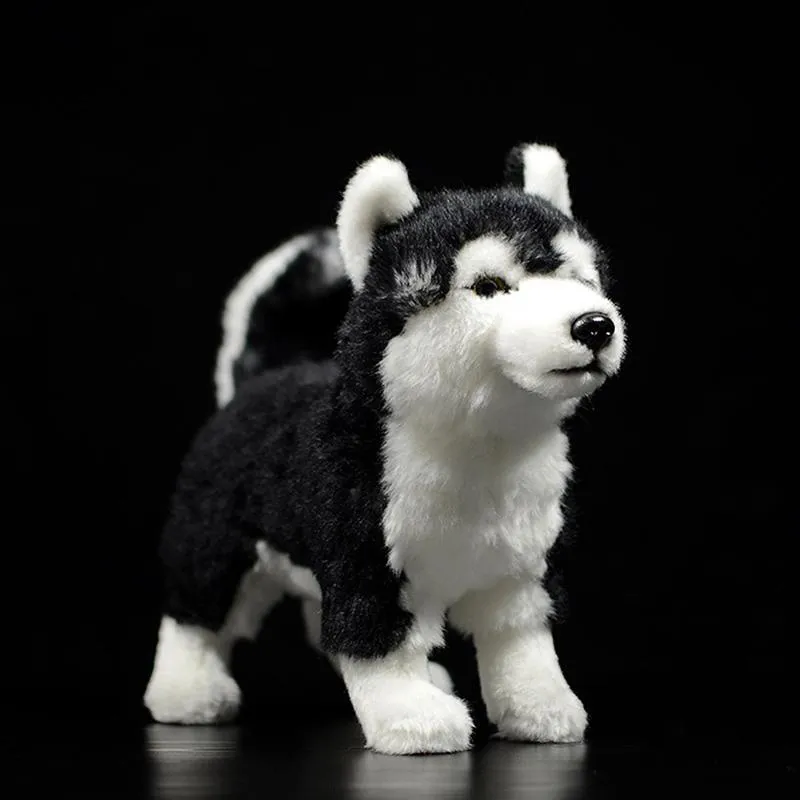 25 cm Siberian Husky cane peluche W marrone occhi azzurri realistici Alaskan Malamute peluche giocattoli regali di Natale LJ201126239N