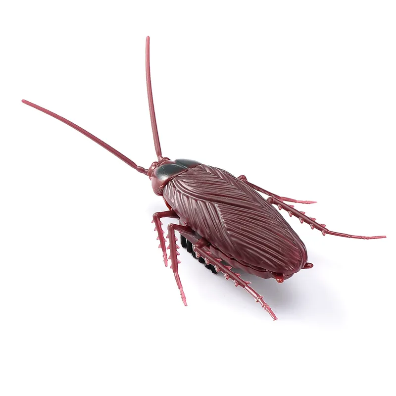 Remote Control Locust ElectricRC Animals Infrared Remote Control Insect... From Kuo08, $2.75 ...