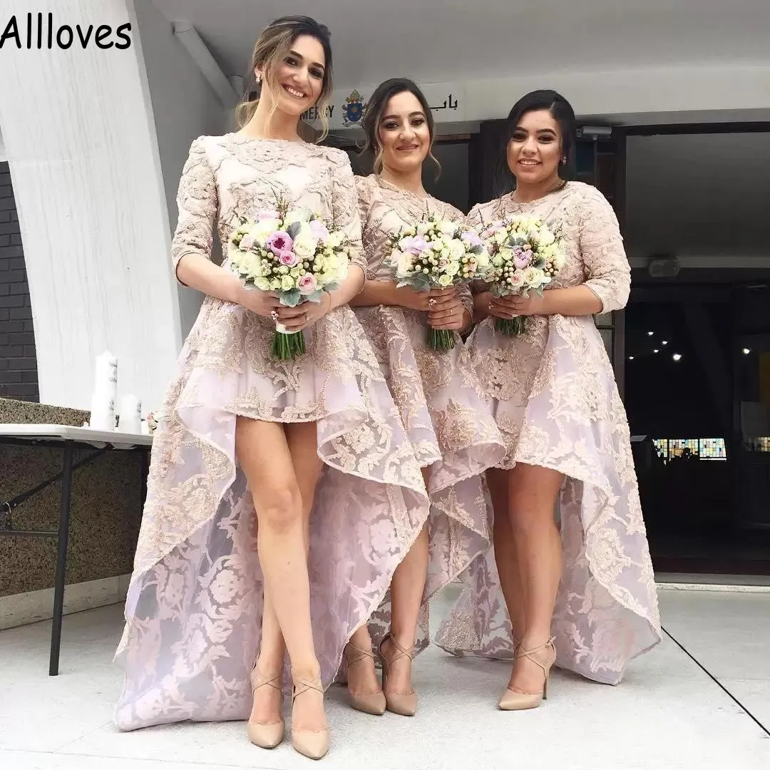 Pink Hi-lo A Line Bridesmaid Dresses For Wedding With Long Sleeves Jewel Neck Lace Appliqued Party Evening Gowns Aso Ebi Plus Size Maid Of Honor Dress Formal AL4366