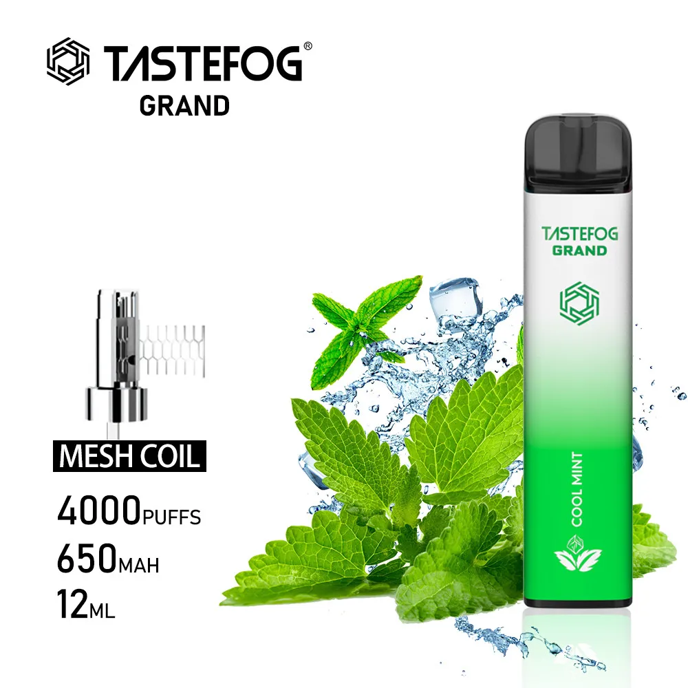 Original Tastefog Disposable vape pen 650mah rechargeable 12ml 2% 10color 10flavors factory price