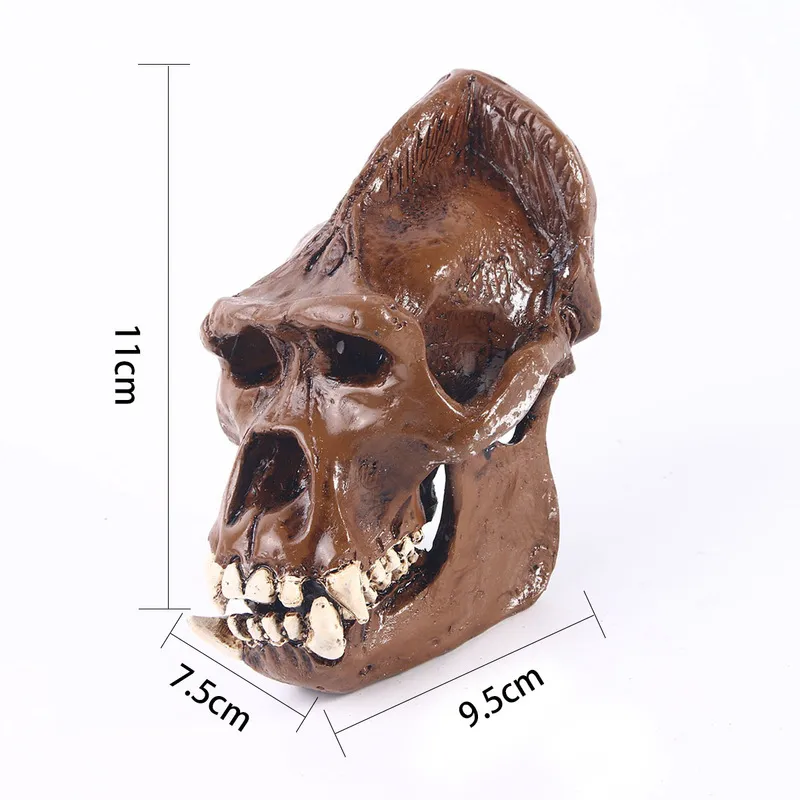 Objets décoratifs Figurines Résine Modèle d'anatomie animale Squelette Crâne d'orang-outan fait à la main pour la décoration d'Halloween Accessoires d'horreur Sculpture pour la fête 220915