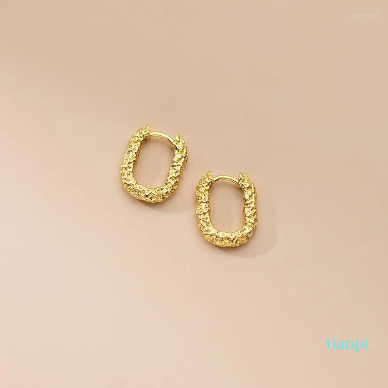 2022 New Fashion Hoop Earrings 18k Plating Gold Plating 925 Sterling Silver Jewelry Narresular Modture Bumper Buit