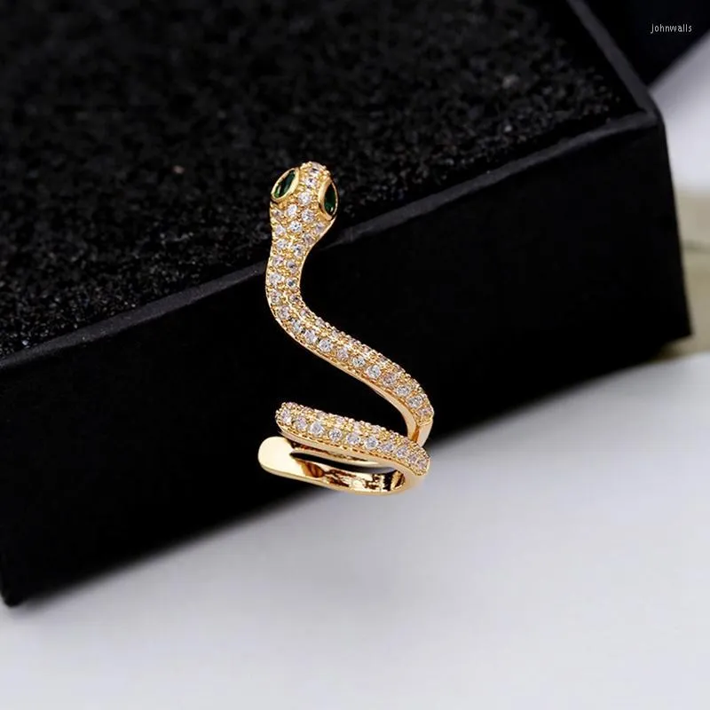 Kolczyki na stadnina wykwintne 1PC uszy mankiet wąż węża sześcienne cyrkon kobiety biżuterię
