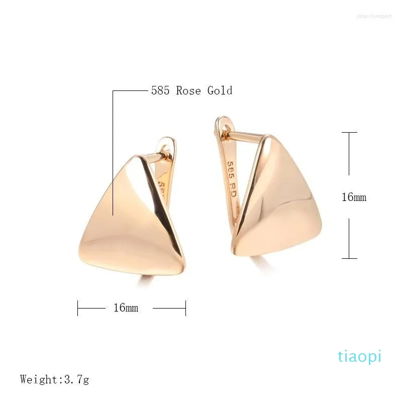 2022 NYA Fashion Hoop Earrings Women's Gold Geometric Triangle Fashion Korean Party Jewelry Top Quality2487
