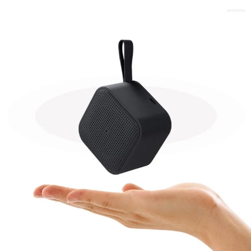 Tragbare Lautsprecher Wireless Lautsprecher Mini Bluetooth 4.0 mit Mikrofon -Subwoofer -Stereo -Musikplayern Mobiltelefon Fernbedienung