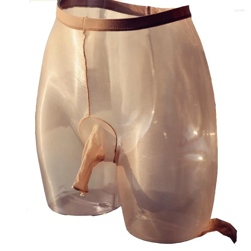 Men's Pantyhose Sheer Ultra Thin 1D Oil Glossy Nylon Tights with Penis  Trunk Sheath, Size M/L, 105cm Length from Dhgate Men's Socks