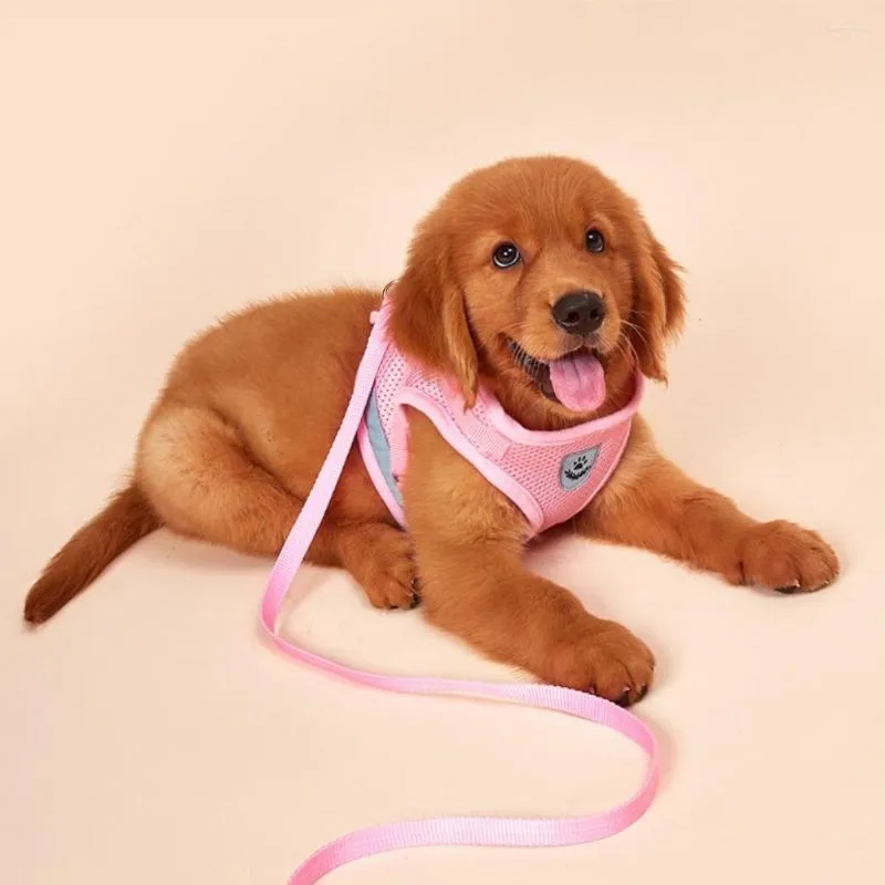 Hondenkragen huisdierharnas en riem set zomer chihuahua mode voor kleine verstelbare wandelpuppy -accessoires