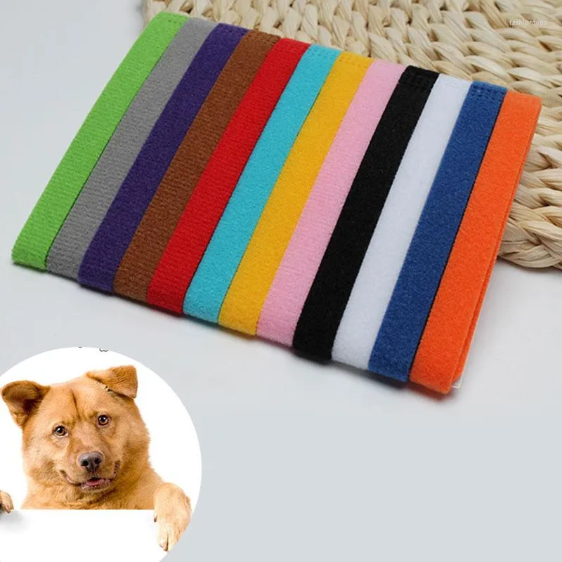 Coleiras para cães 12 peças para cães coloridas clássicas simples para filhotes de gatinhos coleiras de identificação para filhotes pulseiras de identificação suprimentos para animais de estimação