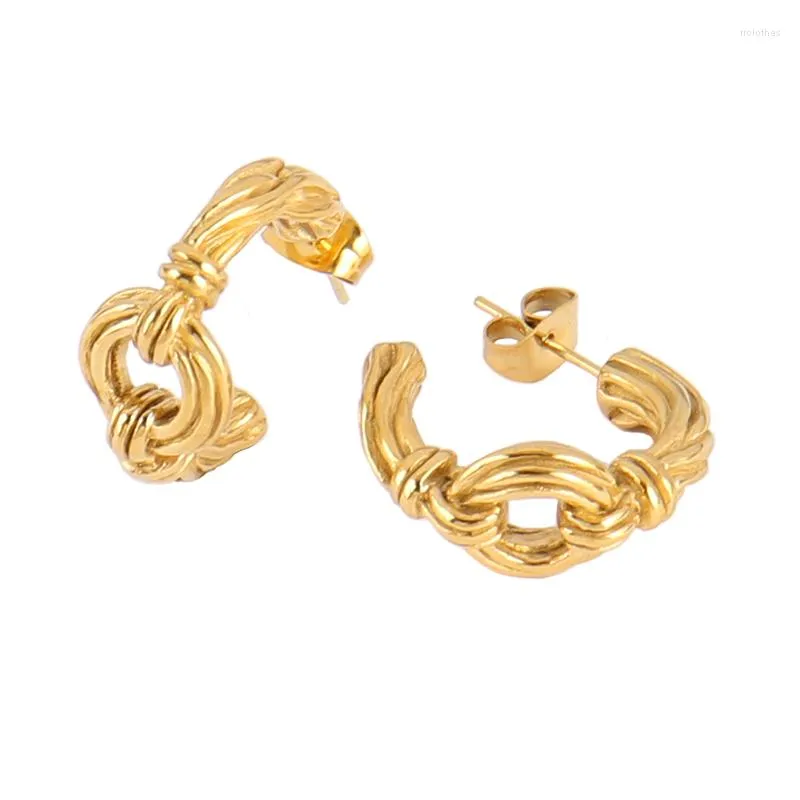 Hoepel oorbellen punk roestvrijstalen oorbel voor vrouwen ketting goud ongebruikelijke trendy ronde cirkel sieraden