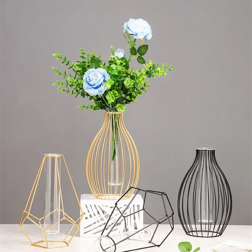 Vaser Nordic Simple Golden Glass Hydroponic Plant Flower Iron Geometric Test Tube Metal Holder Modern Home Decor 220919