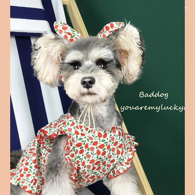 Köpek Giyim Çiçek Elbiseleri Yazılar için Evcil Hayvanlar İçin Küçük Kediler Etek Schnauzer Akita Pug Giysileri Saç Bantlı