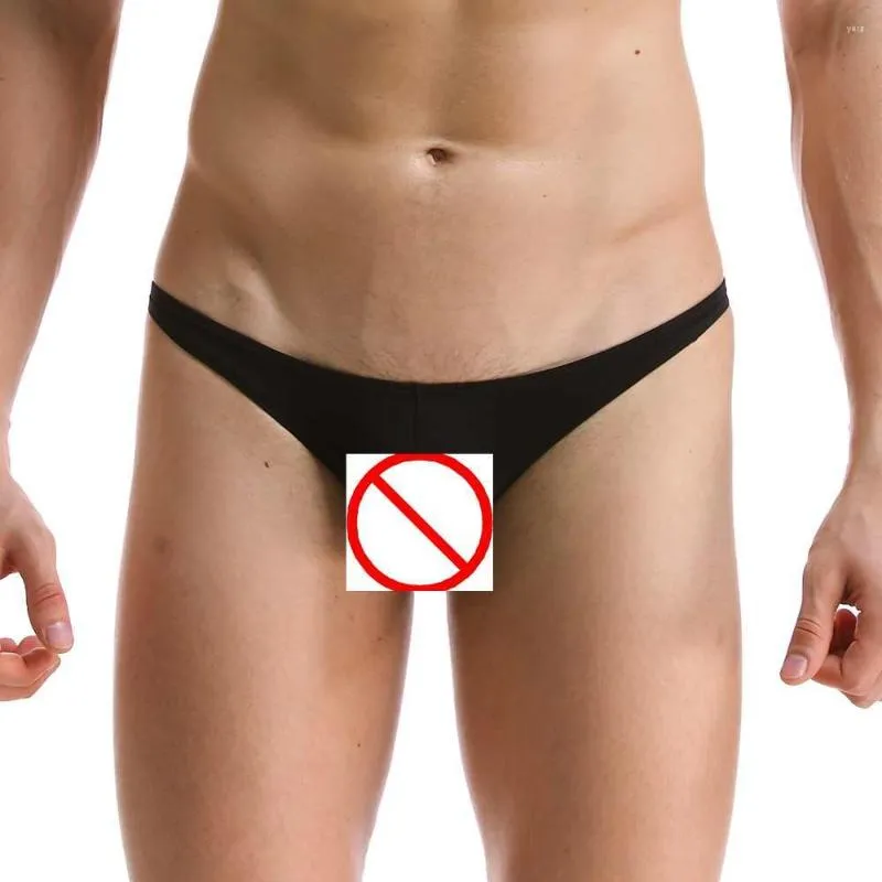 Külotlar erkekler seksi iç çamaşırı düşük bel naylon mens brifing penis torbu bikini kısa artı beden m-xxl