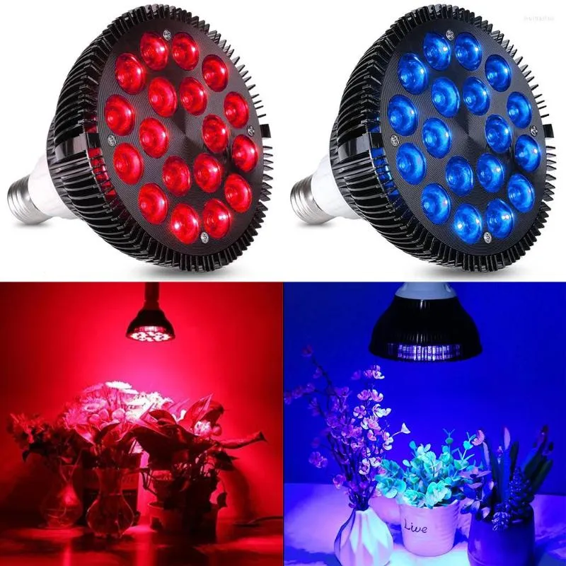 Grow Lights 38 18W 54W lampa för växter LED LJUS Röda blå blomma glödlampor Phyto inomhus växande glödlampan fitolampillväxt