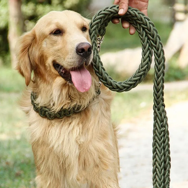 Hundhalsar Medium och stort drag rep 1.3m utomhustr￤ning Nylon Bold Metal Anti-Bite Chain Safety Pet Collar
