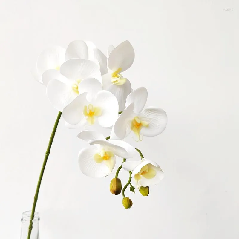 Fiori decorativi Phalaenopsis Design floreale Design secco artificiale Decorazione per matrimoni per decorazioni Festive Festive Supplies
