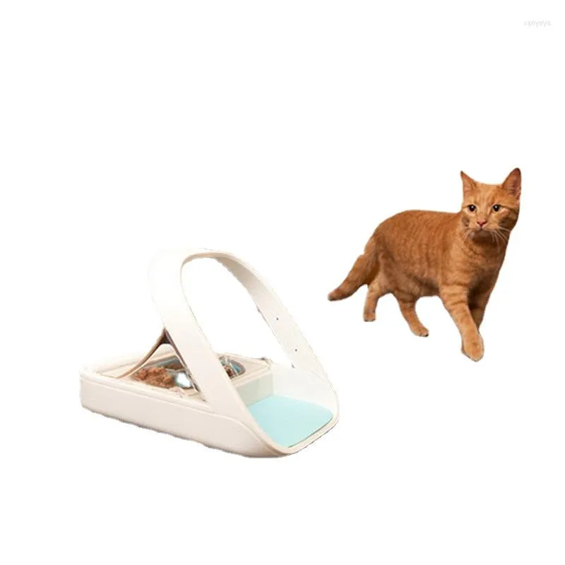 Bug proof cat bowl hot sale
