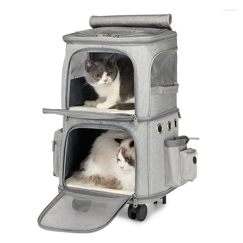 Porte-chats à roulettes Double couche pour 2 chats petits chiens, confort respirant, roulettes amovibles, sac de voyage pour chien