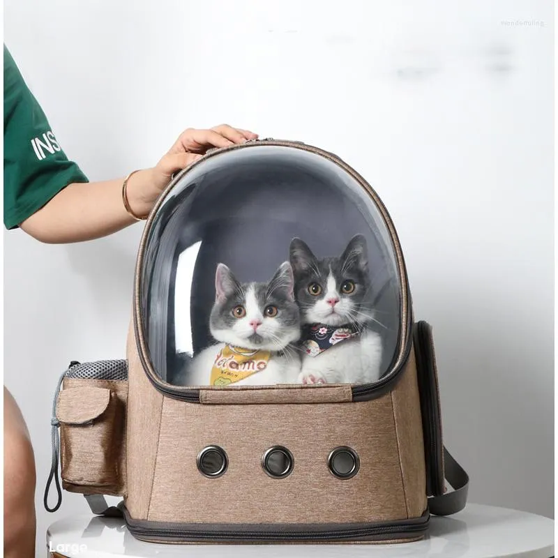 Transportadores de gatos 2022 simples e portátil Pet Space Backpack Moda transparente Bolsa de cachorro respirável Pets dobráveis