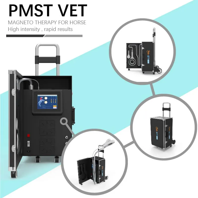 PEMF magnetische therapie Veterinaire magnetische fysio -behandelingsmachine voor paarden Pijnverlichting Sportletselreparatie
