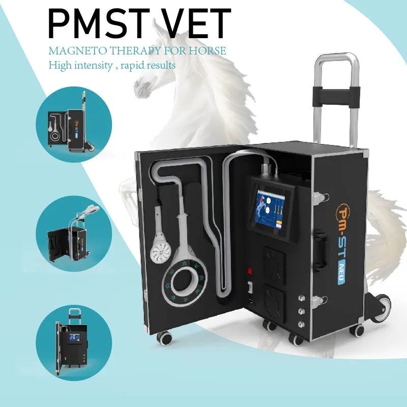 Equine Physio Therapy EMTT PEMF For Horses Accelerates