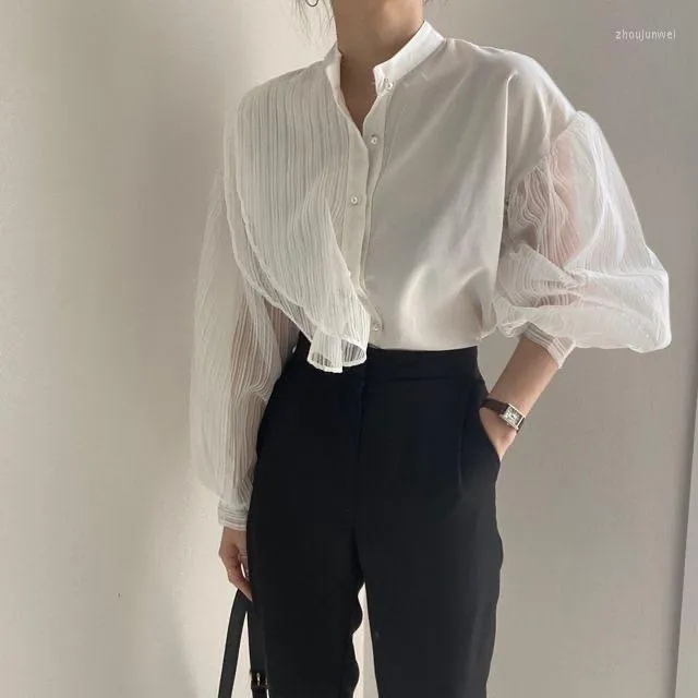 Camicette da donna Camicetta trasparente a rete da donna Camicia a maniche lunghe trasparente in chiffon Camicia da donna in organza bianca
