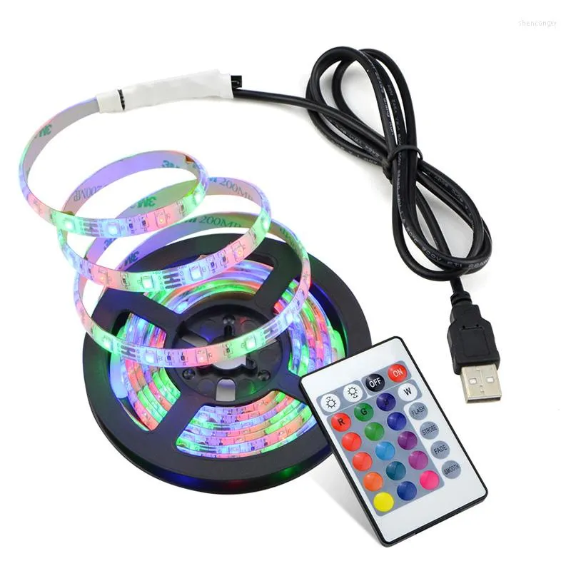 Paski USB Lampa TV Lampa Wodoodporna RGB 24KEY Elastyczne Neon Light 2835smd DC5V dla Kicthen Szafka Podświetlenie Lampki LEDS TAPE