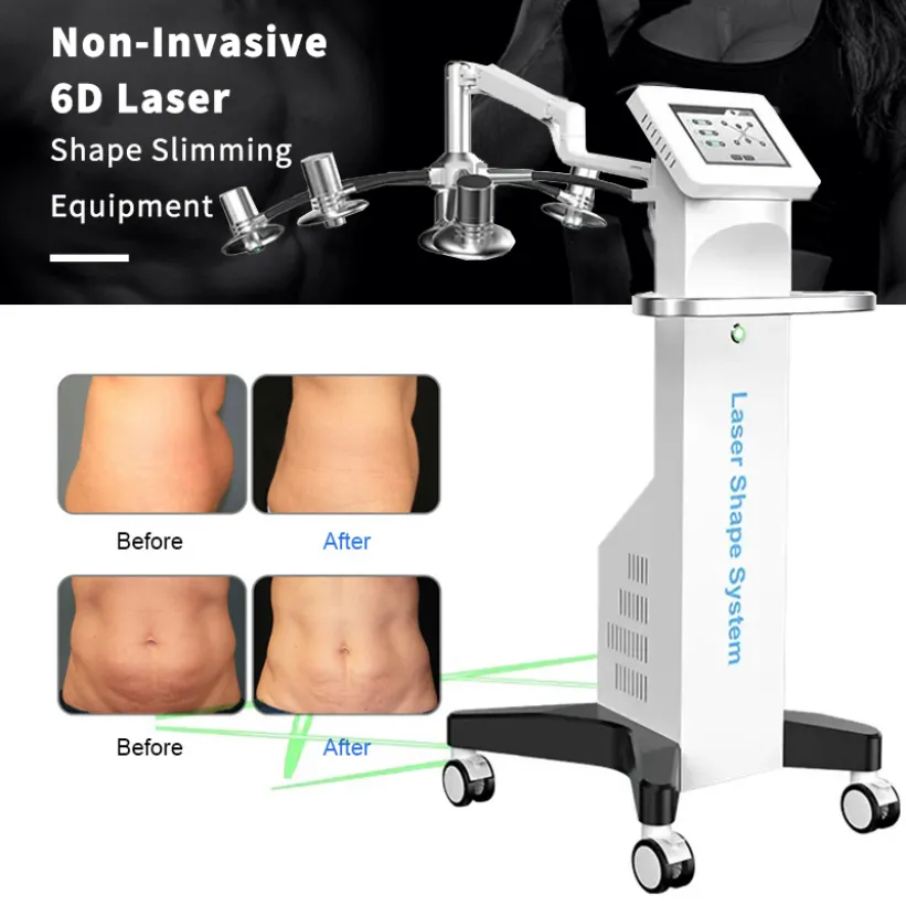 Machine amincissante 6D Lipolaser pour la forme du corps, dispositif de perte de graisse au Laser 532nm, équipement de brûleur de graisse abdominale