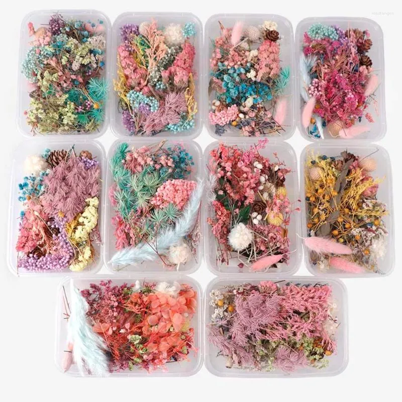 Decorative Flowers 1 Box Mix Beautiful Real Dried Natural Floral For Art Craft Scrapbooking Resin Jewelry Making Epoxy Mold Filling