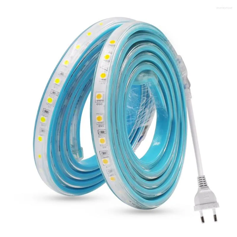 Strips 220V LED Strip Licht EU -plug SMD 60leds/M Outdoor Waterdichte tape lint 20 cm Cutable Wit/warm wit/blauw/roze/rood