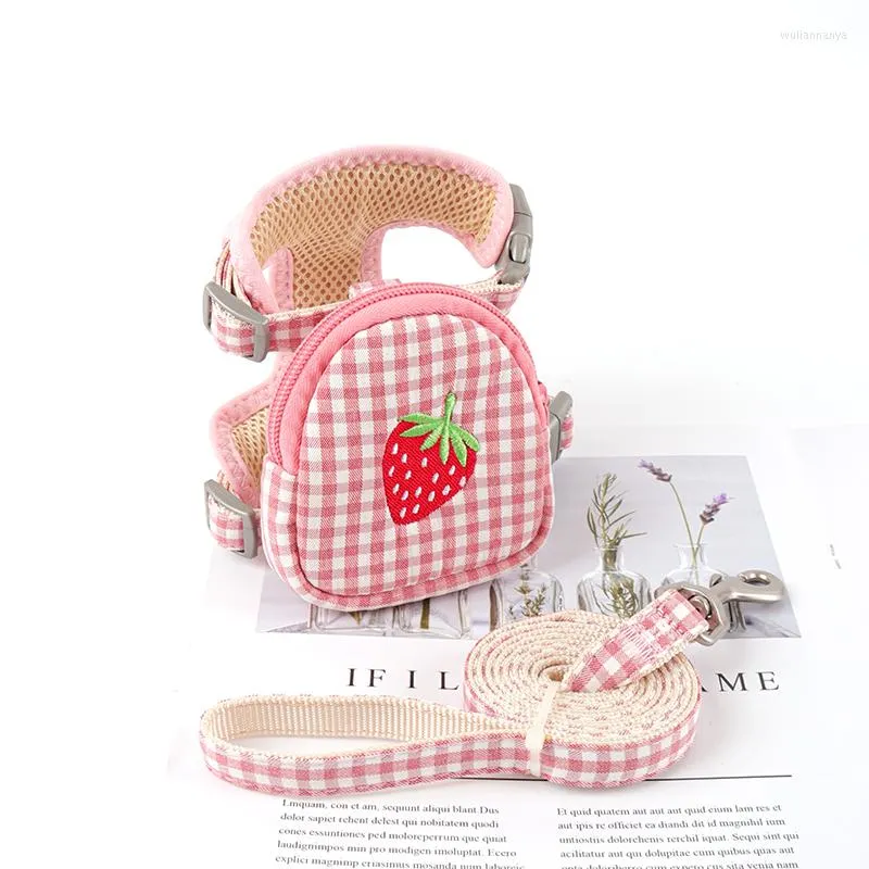 Hundehalsbänder, Obst-Plaid-Weste, Geschirr, Leine, Rucksack-Set, verstellbare Brustweste mit Snack-Tasche für Teddy, Beagle, Pormeranian