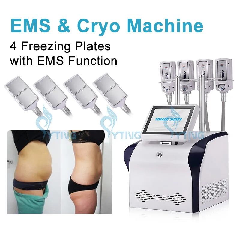 Cryo Therapy Body Slimming Body 형태 4 핸들 무료 모양 EMS Cryolipolysy Plate Machine